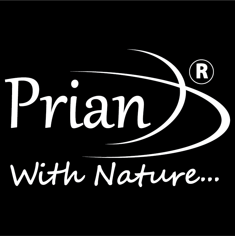 Prian Energy